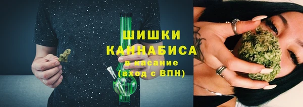 винт Инта