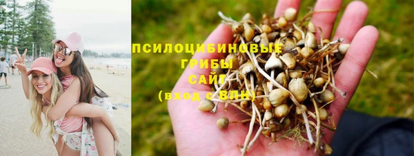 МДПВ Зерноград